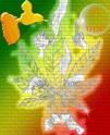 The king  of gwada 97114 L�